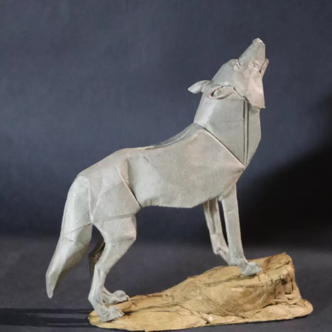 Award-Entry-2023-08-01-00:59:44 | CFC Origami