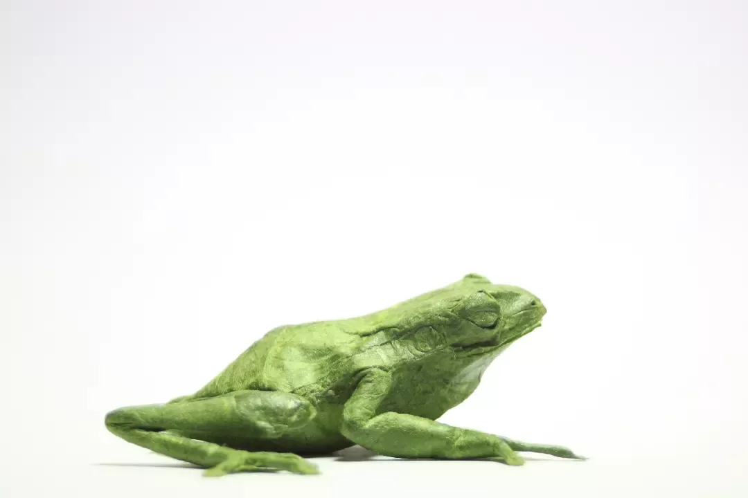Award-Entry-2023-08-05-02:40:21 | CFC Origami