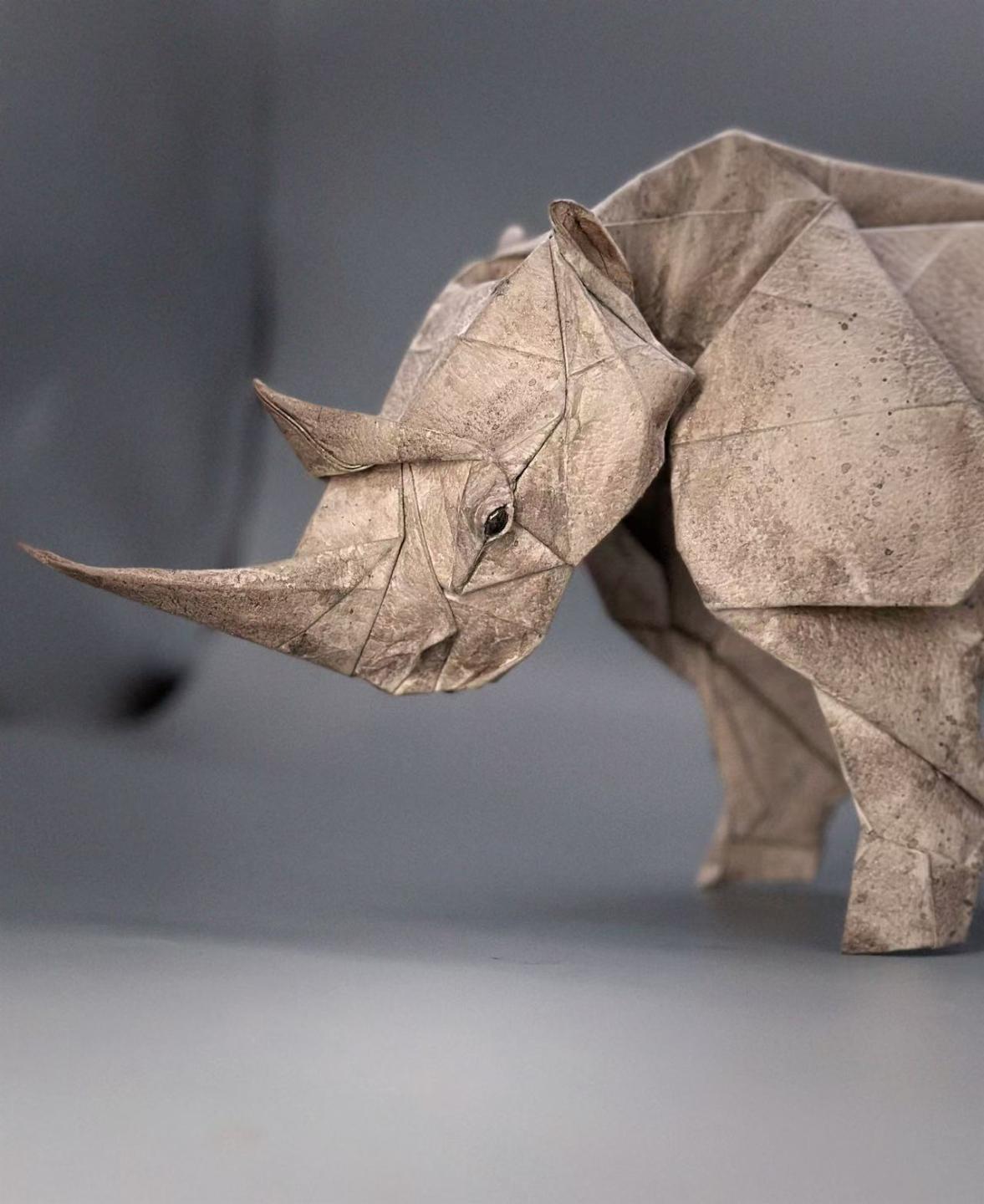 Award-Entry-2025-01-05-03:22:55 | CFC Origami