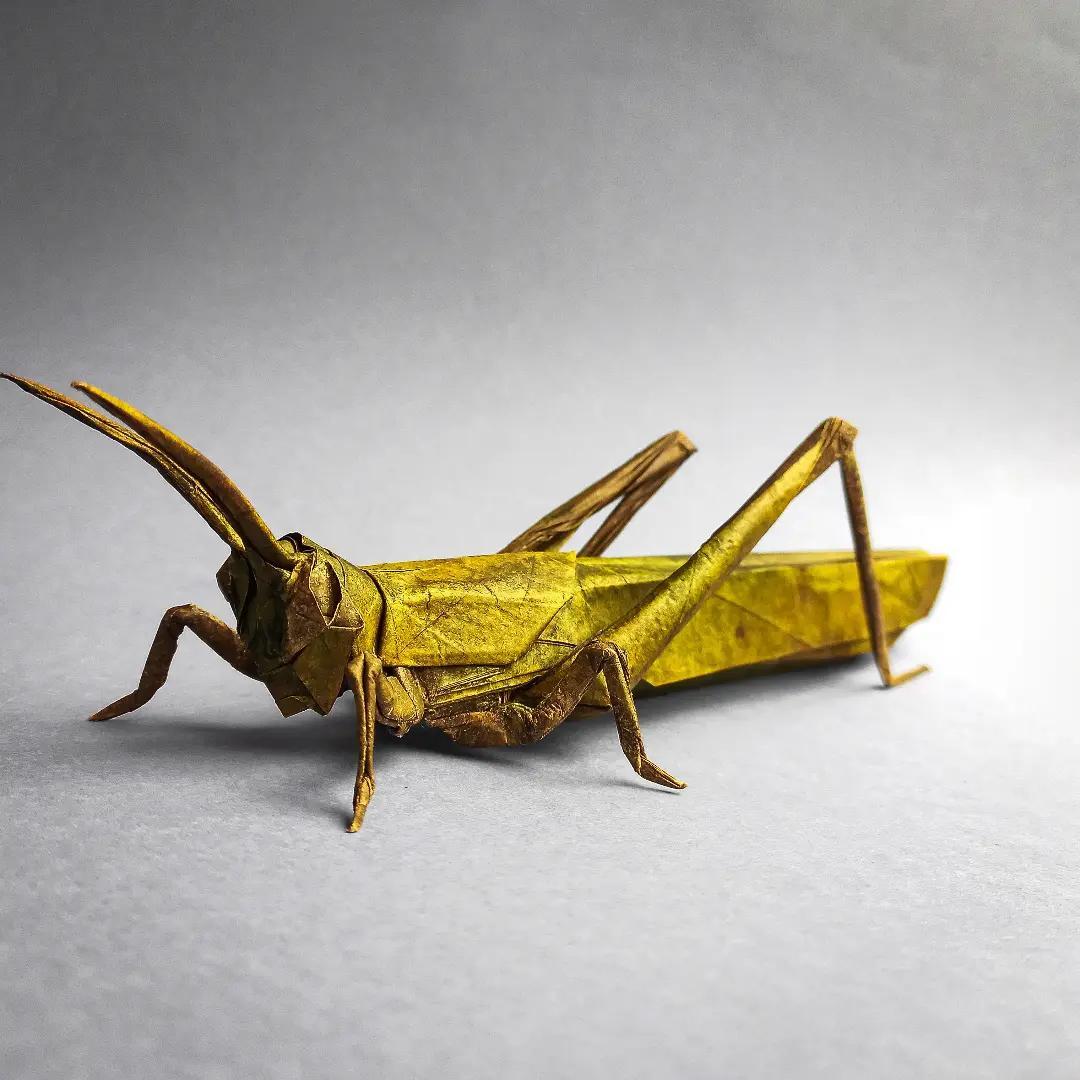 Award-Entry-2024-12-29-01:10:34 | CFC Origami