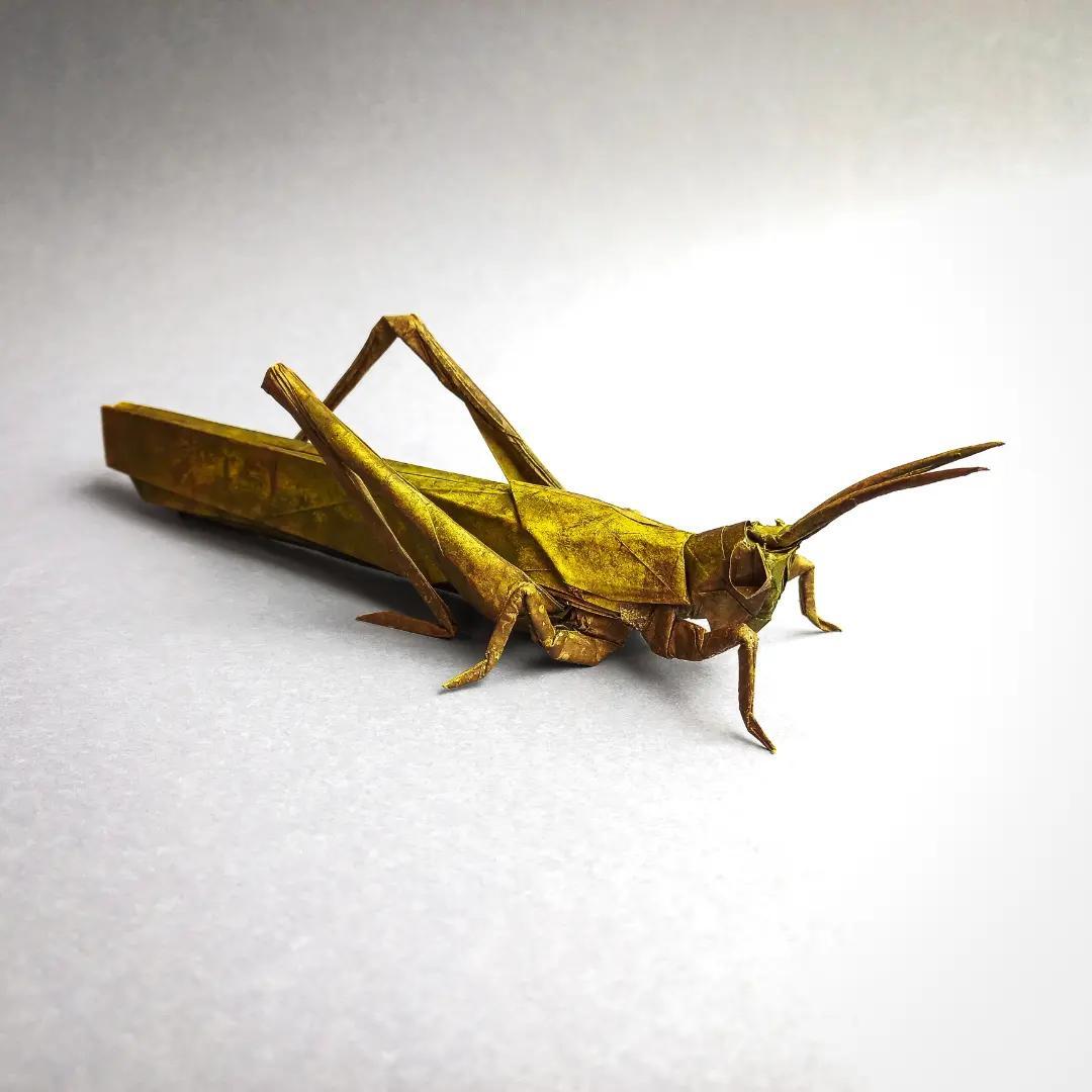 Award-Entry-2024-12-29-01:10:34 | CFC Origami