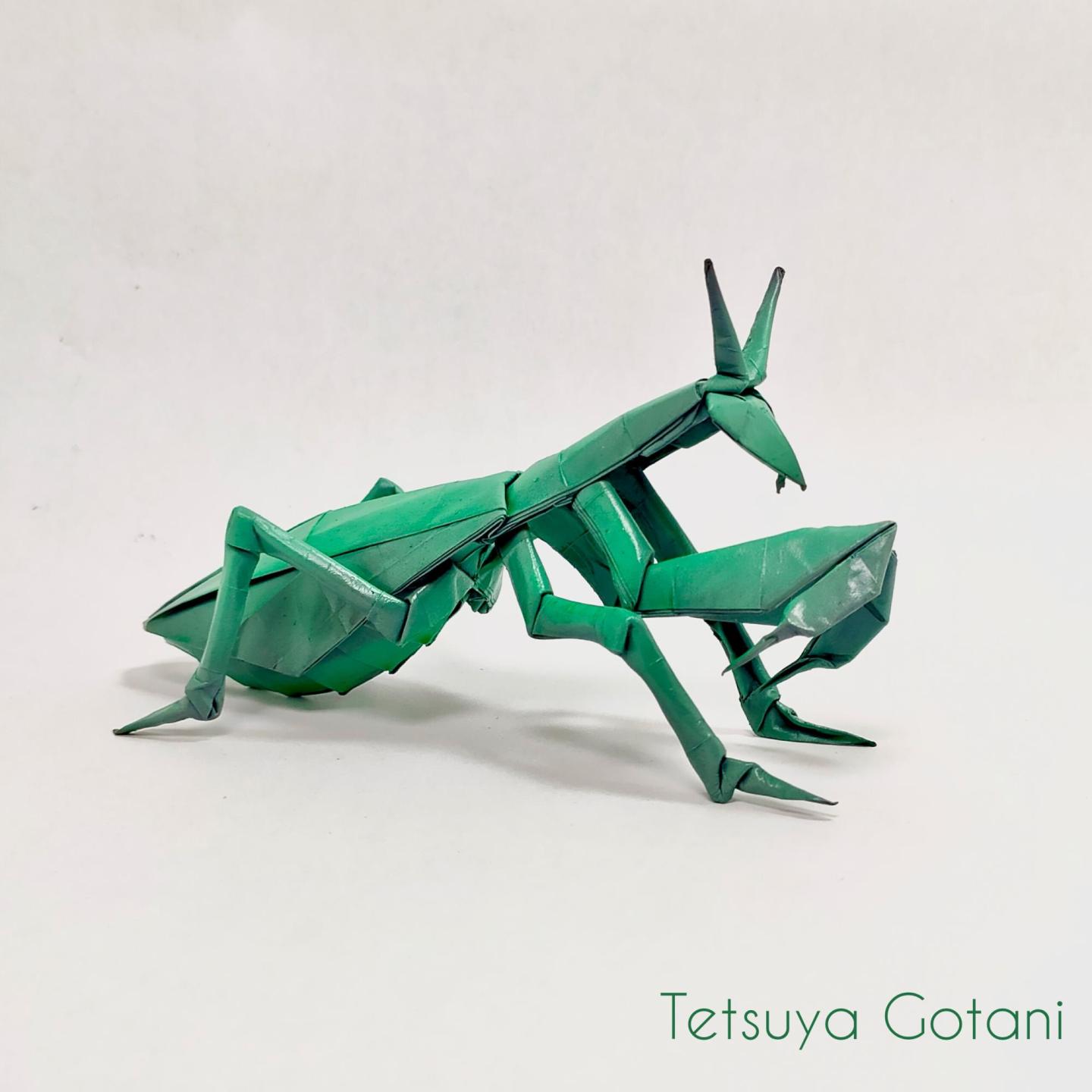 Award-Entry-2025-12-13-01:49:30 | CFC Origami
