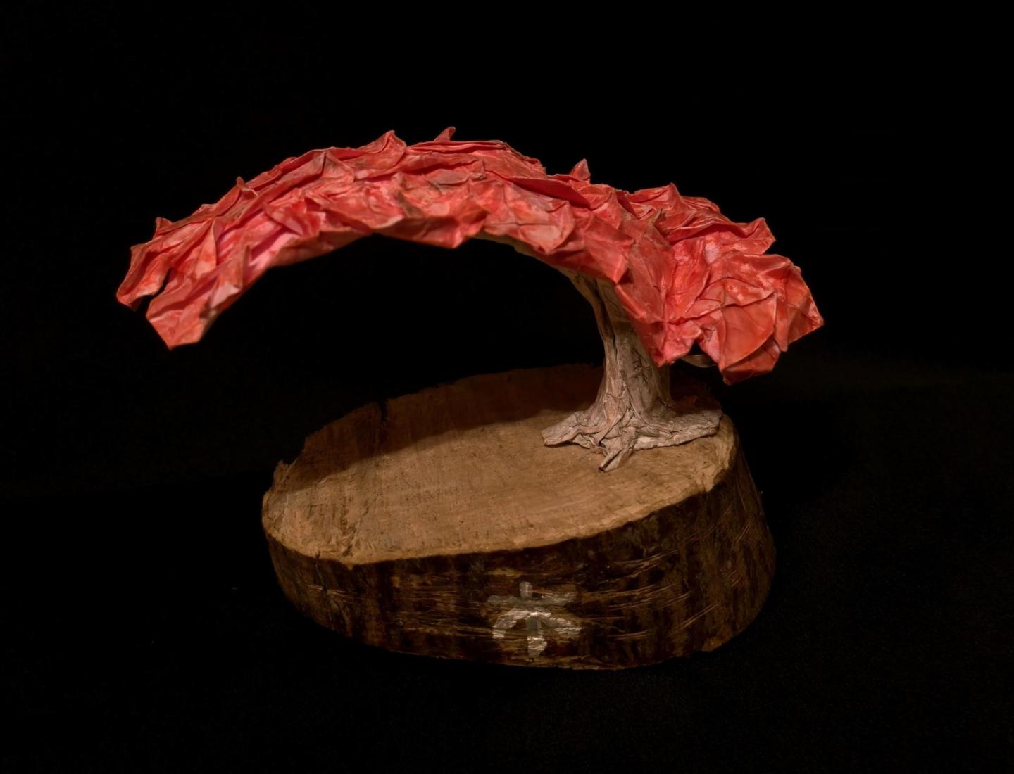 Award-Entry-2026-01-31-12:36:49 | CFC Origami