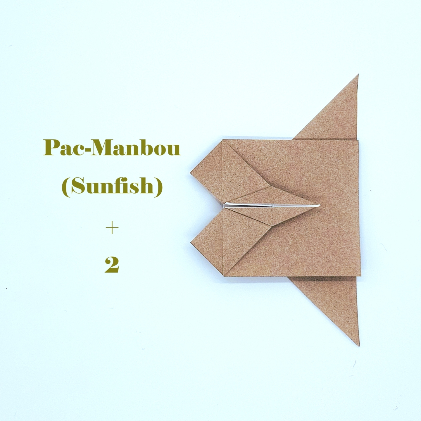 Pac-Manbou (Sunfish)+2 | CFC Origami