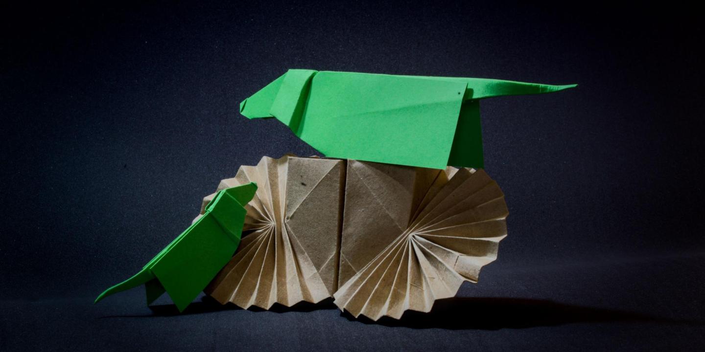 Lola the Dachshund (2025)