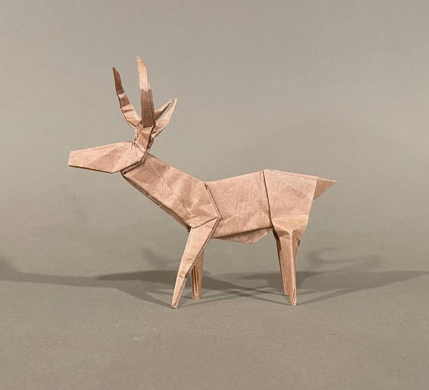 Whitetail Buck