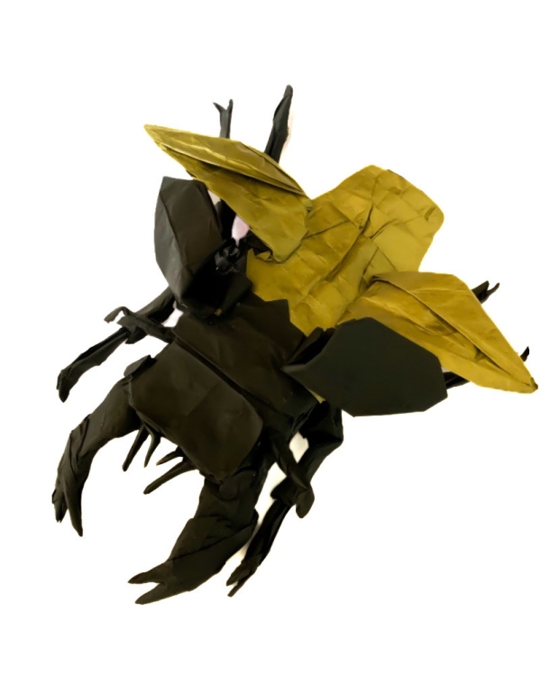 Flying Stag Beetle