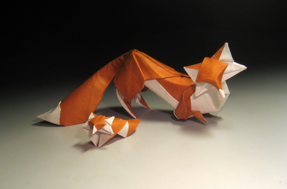 Foxes 2009