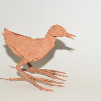 Jacana.  Designed and folded by James Lucas from one uncut square of Origamido paper.