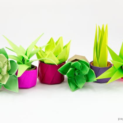 Origami Potted Succulent Plants