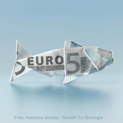 Origami Fish by Evi Binzinger