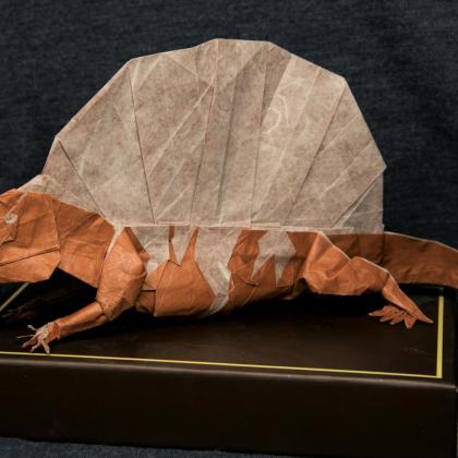 Dimetrodon