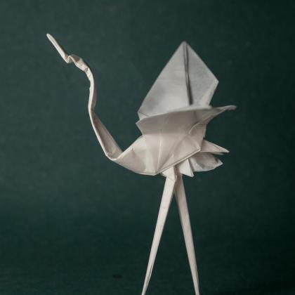 Dancing Crane