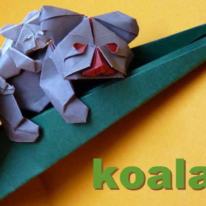 Koala