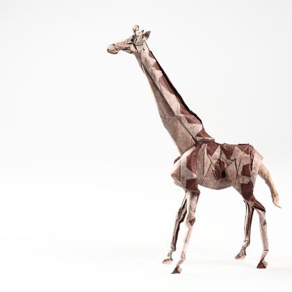 Giraffe  folded from a single square sheet of paper, natural color changes