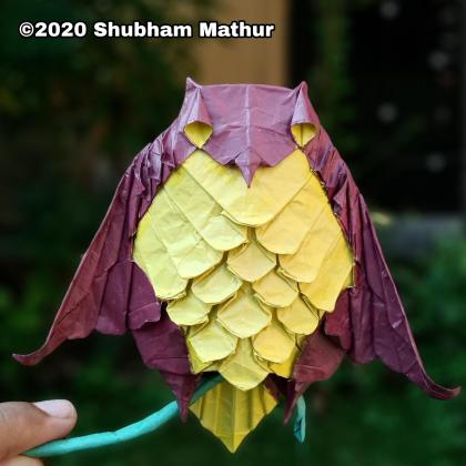 Origami Owl by Shubham Mathur