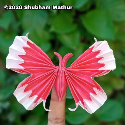 Origami Butterfly by Shubham Mathur