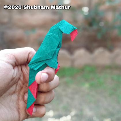 Origami Parrot by Shubham Mathur