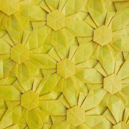 Tribitriangle twist b 2021