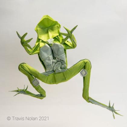 Glassfrog
