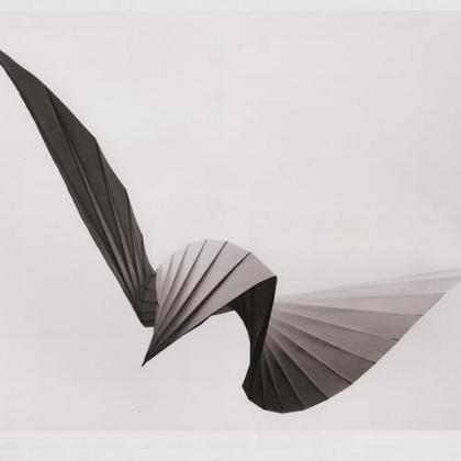 Bird Shapes - a series of pleat-based folded shapes. Designed prior to 1970