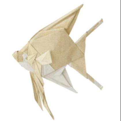 Angelfish designed by Kashiwamura Takuro.