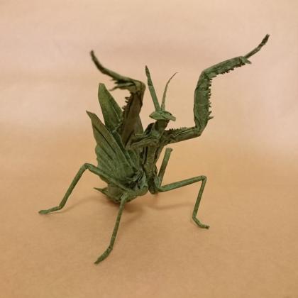 Flying Mantis, originally designed by Imai Kota. Using only one piece of paper, it's a very complex model which contains many details and can be seen at any angles.