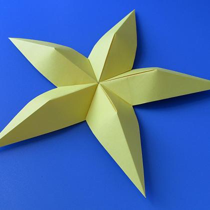 Origami: Stella convessa By Francesco Guarnieri