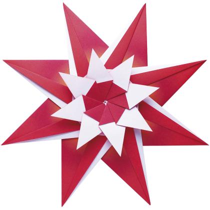 Elizabeth Star