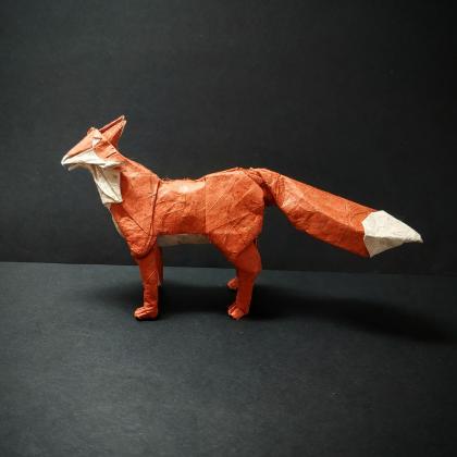 Fox