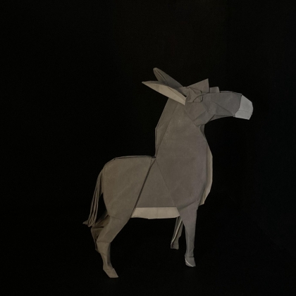 Donkey