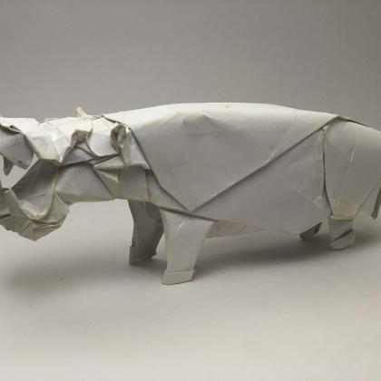 Hippo