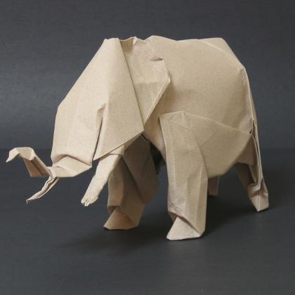 Asian Elephant by John Szinger