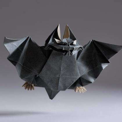 Bat