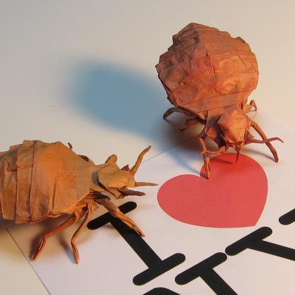 I love NY (bedbugs)
