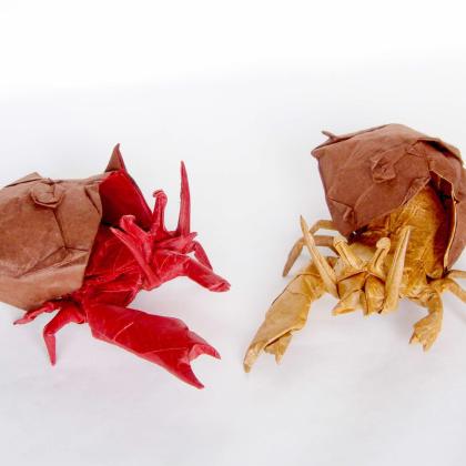 Hermit crabs by Satoshi Kamiya folded by Pere Olivella