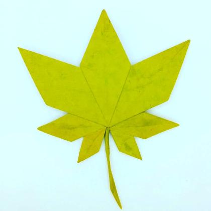 Maple leaf V2