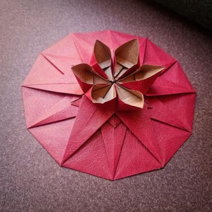 Bloom Lotus 