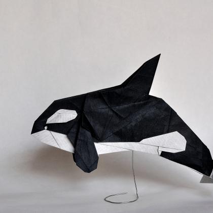 Killerwhale by Akihiro Kosuge folded by Pere Olivella