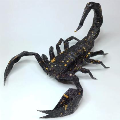 Heterometrus (forest scorpion)