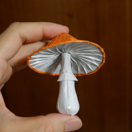 mushroom