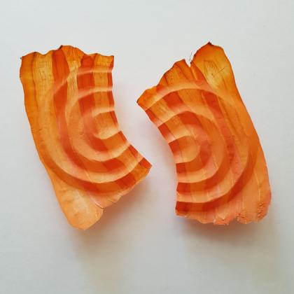 Carrots in Motion, 30 x 30 cm, ( 20239