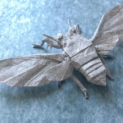 Flying Cicada 1.0