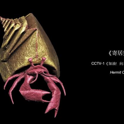 Hermit Crab