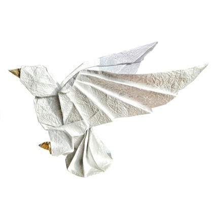 Dove, designed and folded by Francesco Massimo