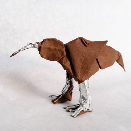 Kiwi bird