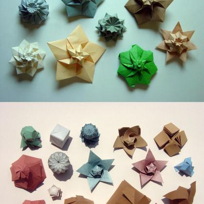 Flower Towers (Top) - PolyPouches (Bottom)