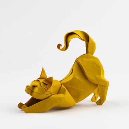 Cat designed by Nguyen Hung Cuong