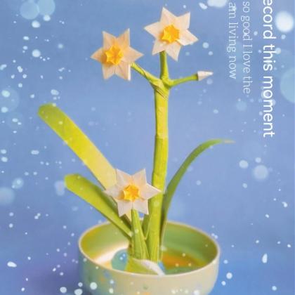 daffodil