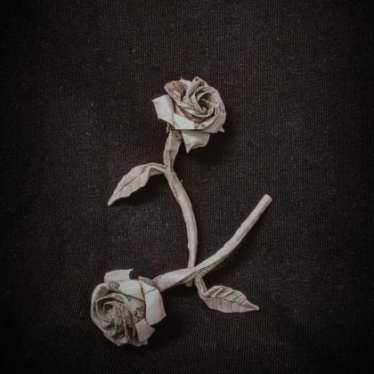 Money rose 